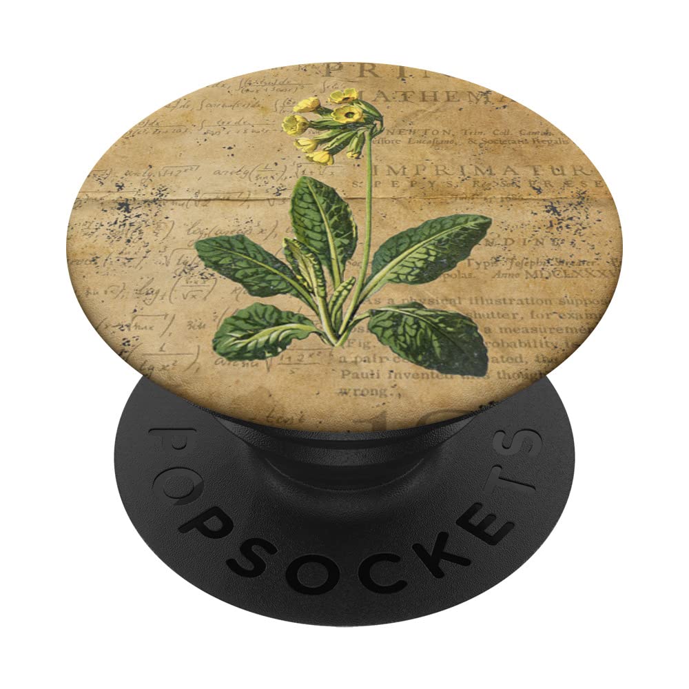 Vintage Floral Cottagecore Aesthetic Daffodil Flower PopSockets Swappable PopGrip