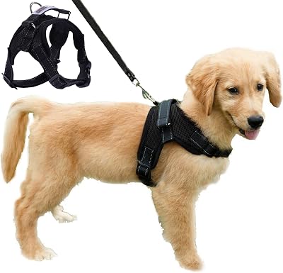Funkeen Pet House Dog Harness Mesh Breathable Adjustable S Black