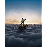 The Endless River