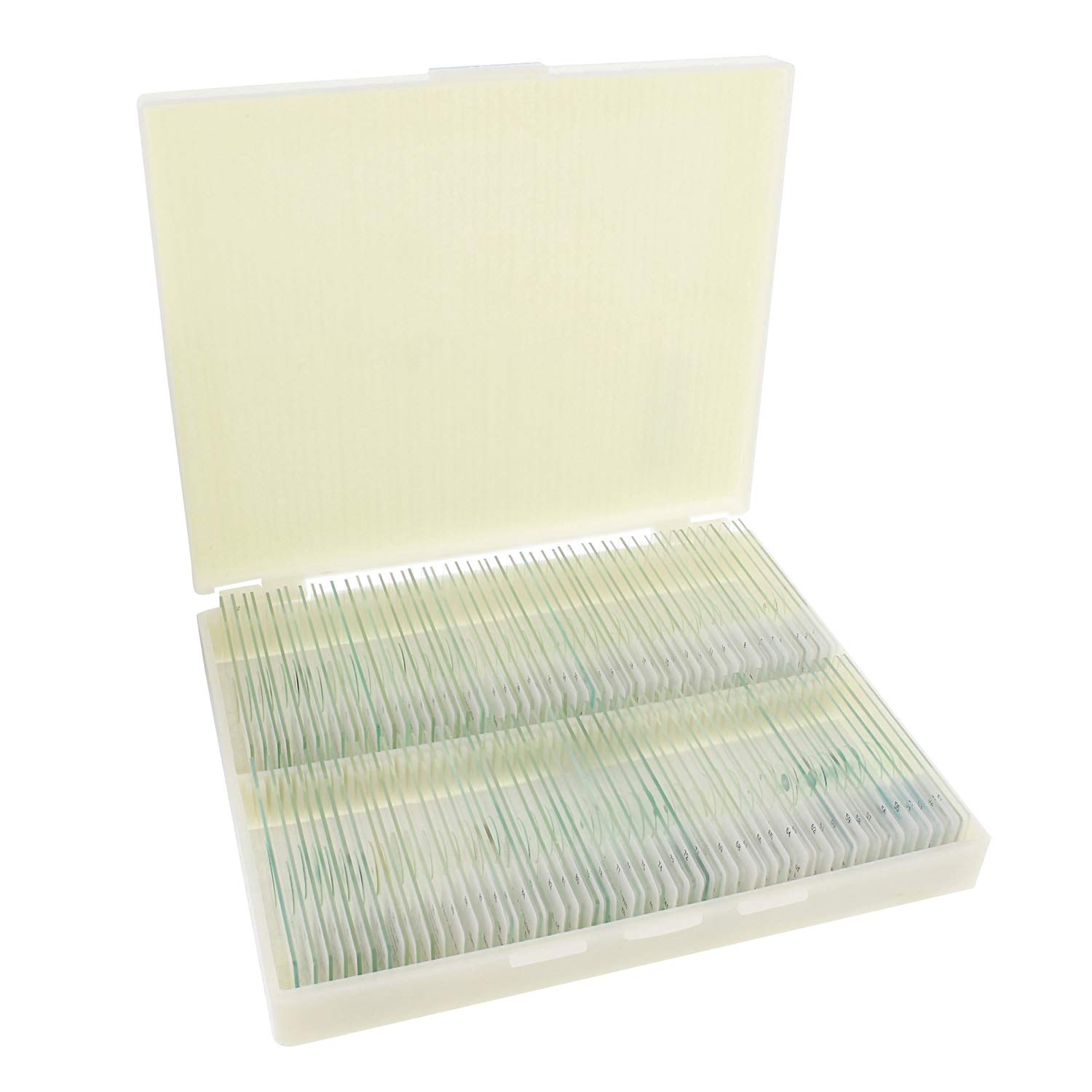 Monmed Prepared Microscope Slides 100 Pc Plant Focused Microscope Sample Kit With Plastic Microscope Slide Box Amazon Com Industrial Scientific Monmed Prepared Microscope Slides 100 Pc Plant Focused Microscope Sample Kit With Plastic Microscope Slide Box Amazon Com Industrial Scientific
