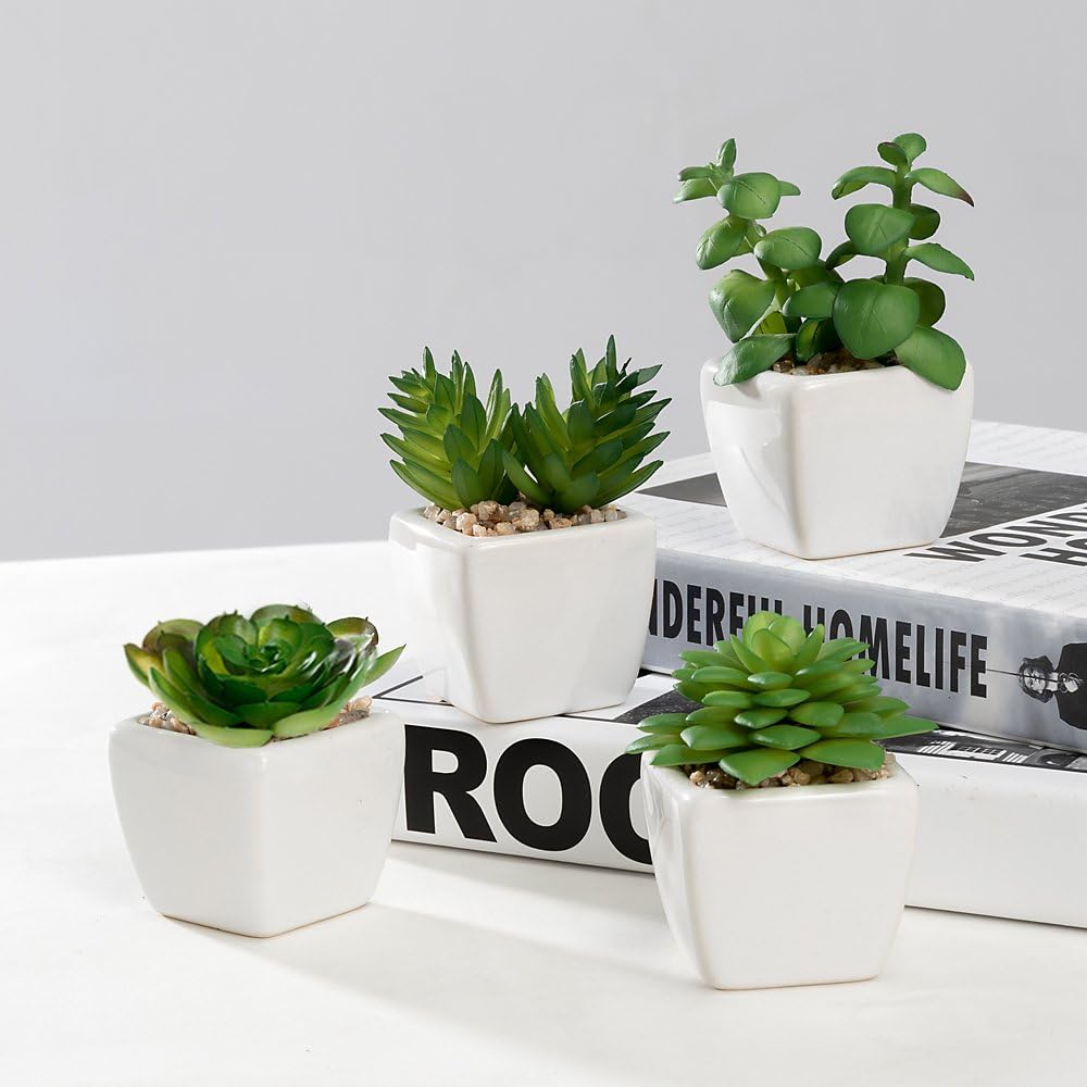 Nattol Small Artificial Succulent Plant Potted in White Ceramic Pots for Home Decor, Set of 4: Home & Kitchen