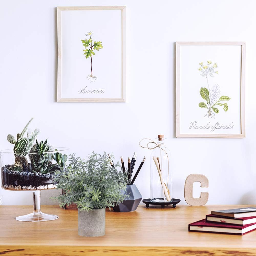 Winlyn Set of 3 Mini Potted Artificial Eucalyptus Plants Plastic Fake Green Rosemary Plant for Home Decor Office Desk Shower Room Decoration -
