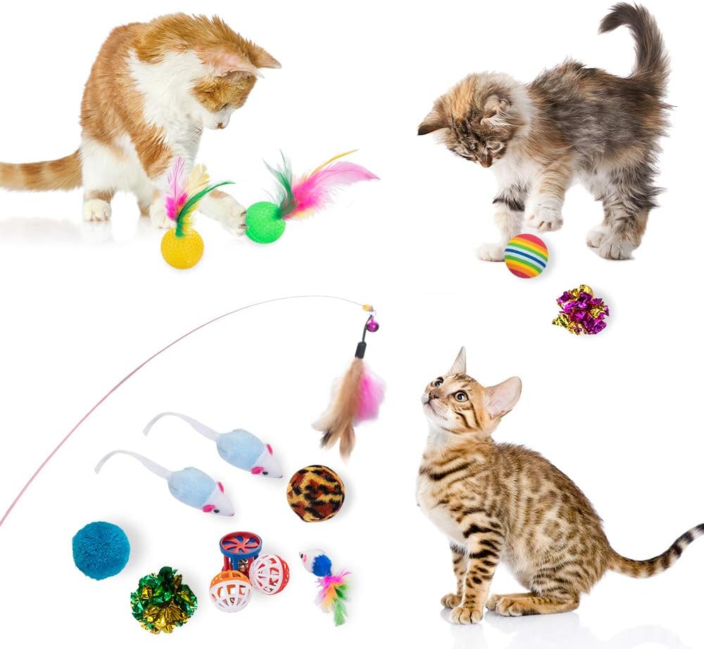 Dono 21Pcs Cats Feather Toys-Kitten Interactive Pet Toys Assortments (2 or 3 Way Hole Tunnel) Cat Feather Wand Fun Ball Chew Sticks, Fluffy Mouse, Fake Mice, Crinkle Balls, Bell Play Supplies : Pet Supplies