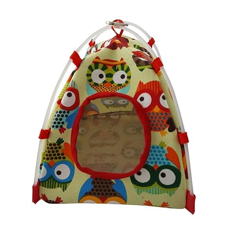 Steellwingsf Dessin Animé Pour Animal Domestique Oiseau