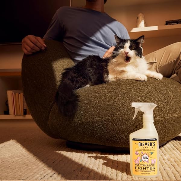 MRS. MEYER’S CLEAN DAY PET STAIN & ODOR FIGHTER, ORANGE BLOSSOM SCENT, 16OZ
