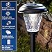 Moonrays 91381 Payton Solar LED Plastic Path Light, 2X-Brighter, Hammered Glass Look, provides 360 Display of Warm LED Lighting, Emits 2.4-lumens, 12-inch area of illumination, 8-Pack