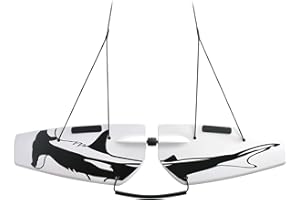 Subwing - Fly Under Water | Water Sport Towable for Boats | Alternative to Wakeboard, Pull Behind Flying Tubes & Towable Tubes for Boating