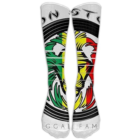 nnmaw The Lion of Judah Rasta Jamaica Reggae Logo Painting Knee High Graduated Compression Socks for Women and Men 50cm