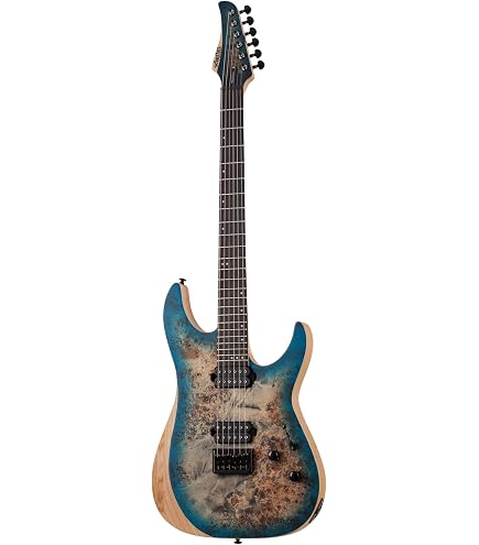 Amazon.com: Schecter Sun Valley Super Shredder FR-S Electric