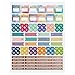 Erin Condren Metallic Sticky Document Flag (ACC MSS PRO)