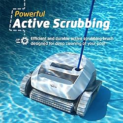 Dolphin (2025 Model) E10 Automatic Robotic Pool