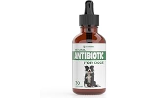 IVITAMINS Natural Antibiotics for Dogs | Dog Antibiotics | Supports Dog Allergy Relief | Dog Itch Relief | Dog Allergy Support | Dog Multivitamin | Pet Antibiotics | Dog Antibiotic | 2 Pack: 60 Servings Total