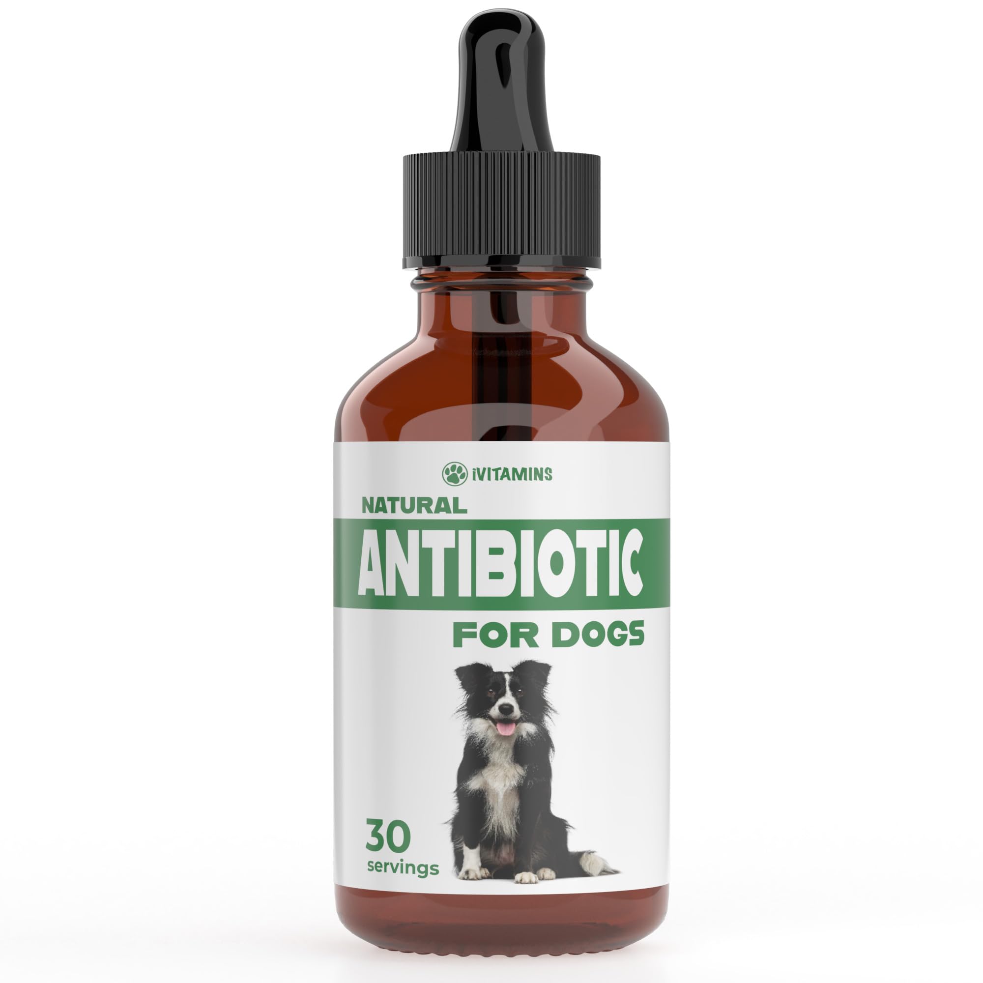 Mua Natural Antibiotics for Dogs Dog Antibiotics Dog Ear Infection