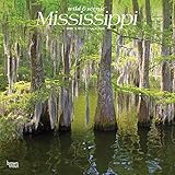 Mississippi Wild & Scenic 2020 12 x 12 Inch Monthly Square Wall Calendar, USA United States of America Southeast State Nature by 