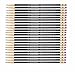 Paper Mate Mirado HB #2 Black Warrior Woodcase Pencil 24 count PAP2254