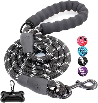 berdoodle puppies for sale