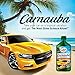 Turtle Wax T-6A Carnauba Cleaner Liquid Wax - 16 Fl Oz.