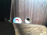 Review Image by Amazon Customer Amazon Customer