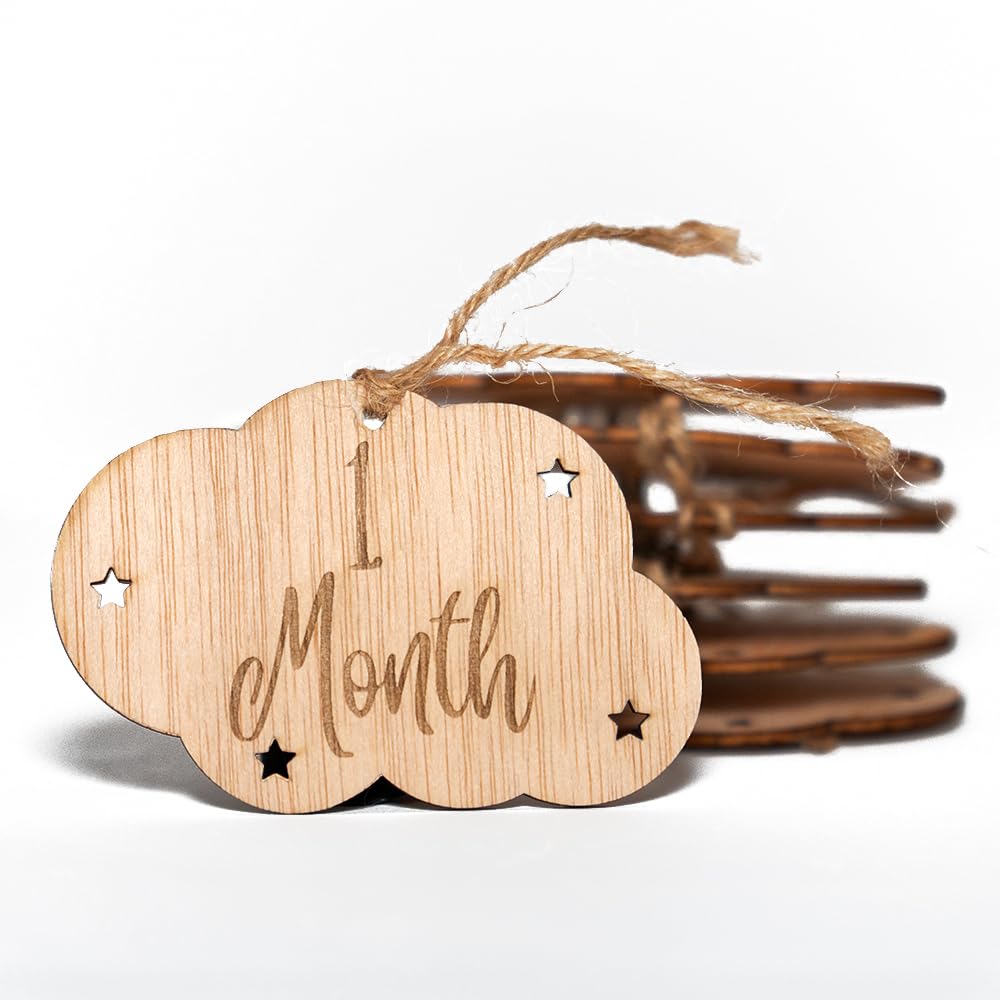 B Bachvibes Wooden Baby Monthly Milestone Plaques - Set of 14 Monthly Discs - Ideal for Newborn Photos and Baby Celebration Gift