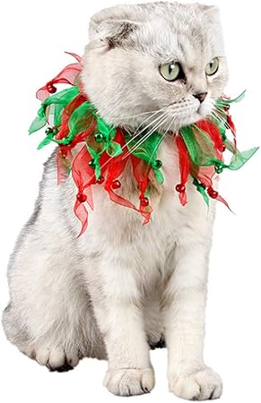 collars for long haired cats