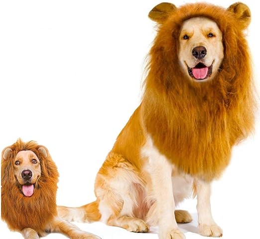 Amazon Co Jp Amazoin ライオンたてがみウィッグ 耳付き 犬 猫 コスチューム ペット 調節可能 快適 ファンシー ライオン ヘア 衣装 ドレス ハロウィン クリスマス イースター フェスティバル パーティー アクティビティ ホーム キッチン