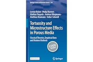 Tortuosity and Microstructure Effects in Porous Media: Classical Theories, Empirical Data and Modern Methods (Volume 333)