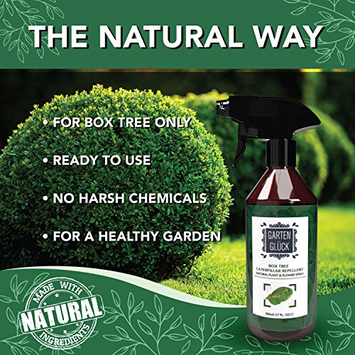 Garten-Gluck-Spray-a-lextrait-dHuile-de-Neem-pour-Buis-Spray-Naturel-Contre-la-Pyrale-du-Buis-Action-Anti-Puceron-Insectes-et-Chenilles-Efficace-Anti-cochenille-et-Pucerons-Bio-500-ML