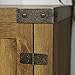Home Accent Furnishings Tucker 58 Inch Barn Door Fireplace Tv Stand in Barnwood