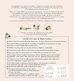 Image de La princesse au petit pois