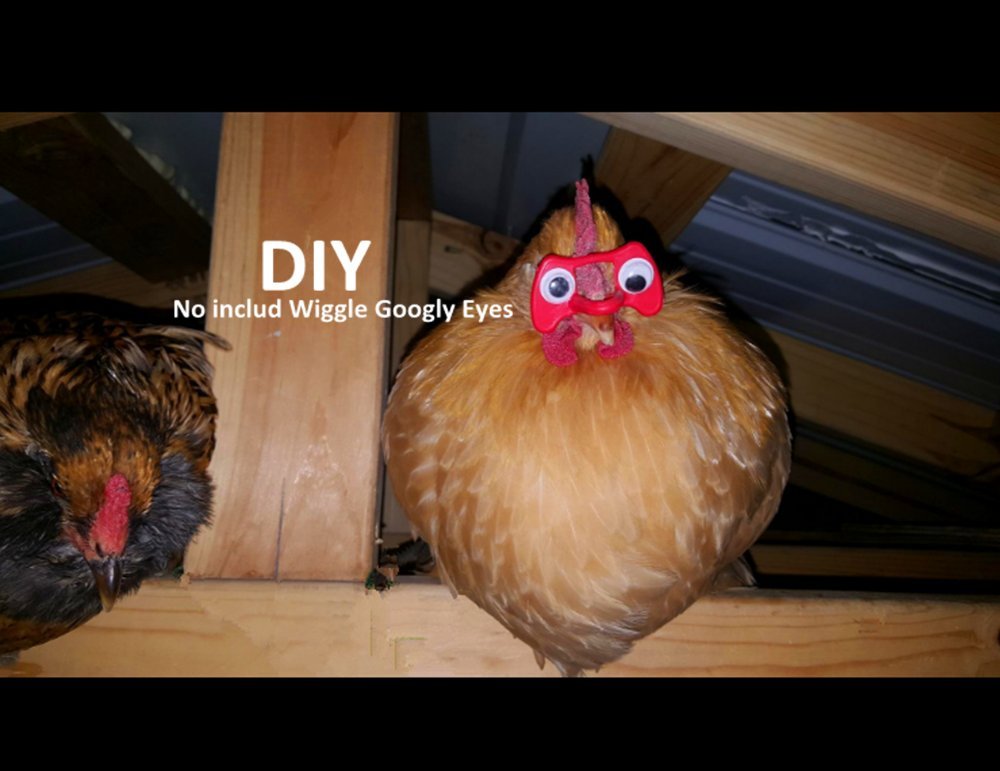 Weilan Pinless Peepers With Pliers Chicken Peepers Eye Glasses Pheasant Poultry Blinders Spectacles Anti Pecking Plier Tool