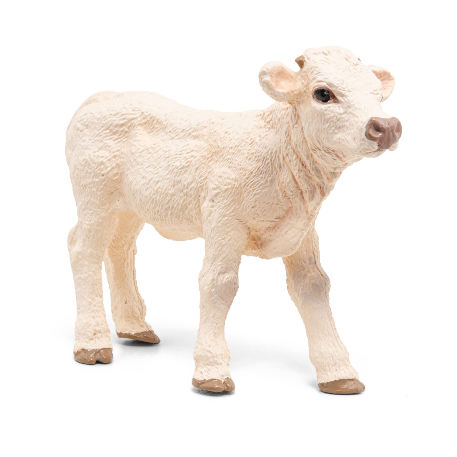Papo 51157 "Charolais Calf Figure, Medium