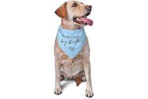 vercosee Promoted to Big Brother Dog Bandana Gender Reveal Dog Bandana Reversible,Photo Props Accessories,Gift for Dog Lover Owner (Blue)