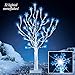 Collections Etc Lighted Birch Branches Tree w/Snowflakes Outdoor Decoration