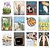 Linnea Design 2020 Poster Wall Calendar 11 X 14 Inches Art by Johanna Riley