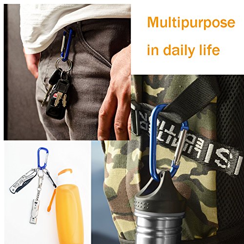 Togear Chalk Bag for Rock Climbing, Weightlifting, Bouldering & Gymnastics Workout Accessories, Quick-clip Belt with Two Aluminium Carabiner Key Chain Clip Hooks (Black-1)