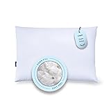 Casper Sleep Down Pillow for