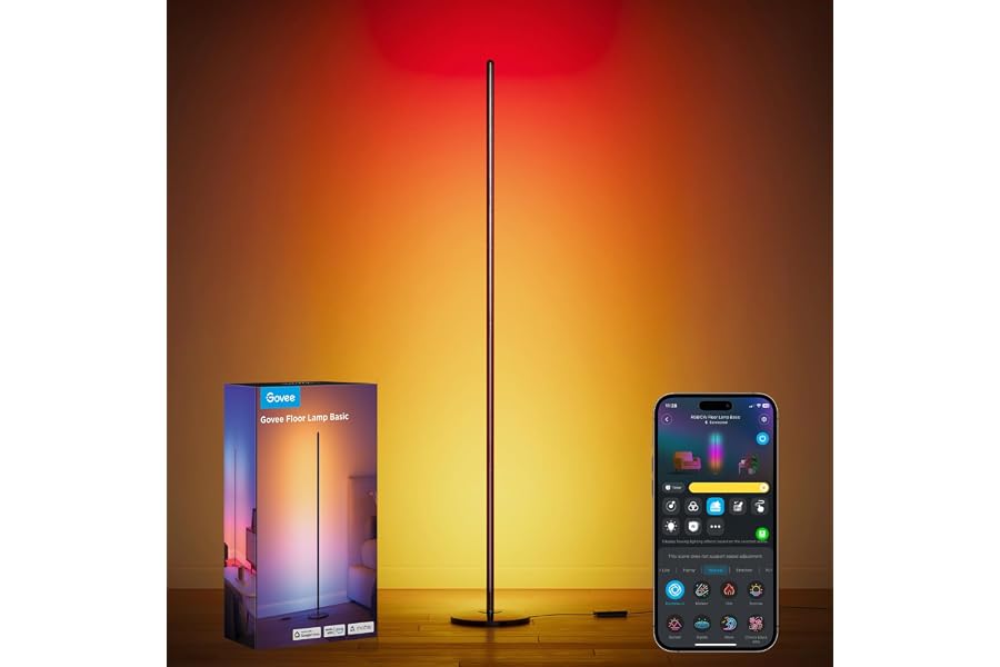 Gift Idea: Govee RGBIC Floor Lamp Basic
