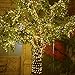 Indoor Lights String WEKSI Dimmable LED Starry String Lights Copper Wire Lights with Remote Control for Gardens, Homes, Dancing, Wedding,Christmas Party Decorative ( 33 ft, Warm White 100 Leds, 10M)