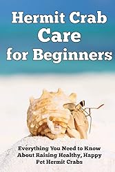 Hermit Crab Care for Beginners: Everything You Need