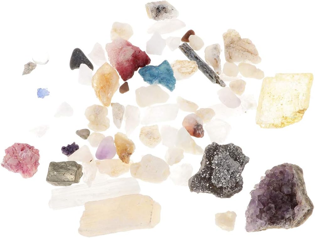 D DOLITY Caja de Colección de Minerales Cristales Juguete ...