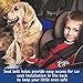 CarZonn Dog Seat Cover – Pet Seat Cover - Dog Car Seat Cover – Waterproof, Scratchproof Seat Cover for Spotless Car – Premium Seat Hammock for Small and Large Dogs – Cars, Trucks SUVs