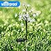 2020 New Upgraded Solar Lights Outdoor, 2 Pack Solar Christmas Lights Solar Garden Lights with 20 LED Flower Lights Solar Stake Lights Waterproof Colored Fairy Landscape Lights for Garden, Yard, Patio