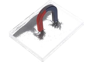 BELLIFFY Magnetic Iron Powder Box for Physics Experiments Iron Fillings Demonstration Tool for Science Education