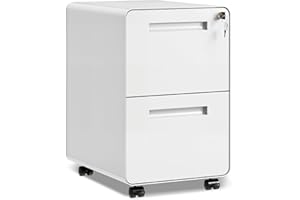DEVAISE 2-Drawer File Cabinet with Lock, 0.7mm Thick Steel Mobile Filing Cabinet for Home Office, Under Desk Storage Organizer with Rounded Corners, Fully Assembled, 20" D x 15.8" W x 25" H, White