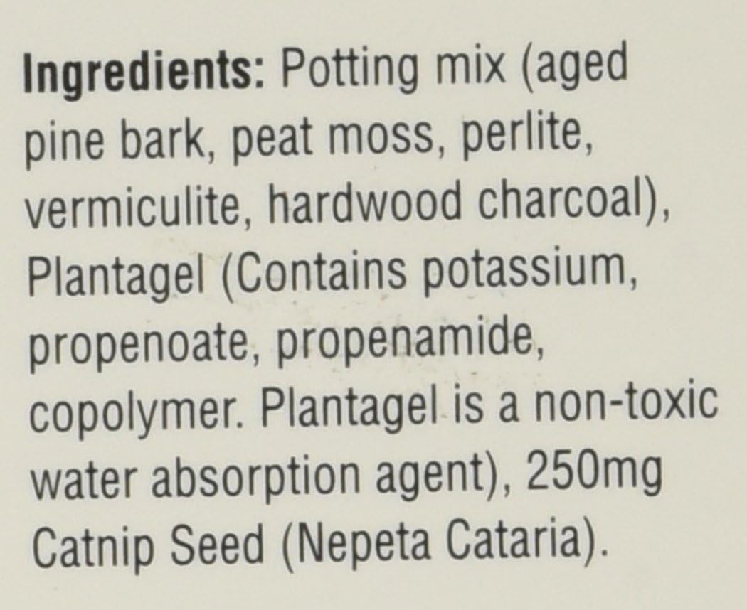 Cat-A'bout Multi-Cat CatGrass Plus Tub 150 grams by MiracleCorp/Gimborn : Cat Grass : Pet Supplies
