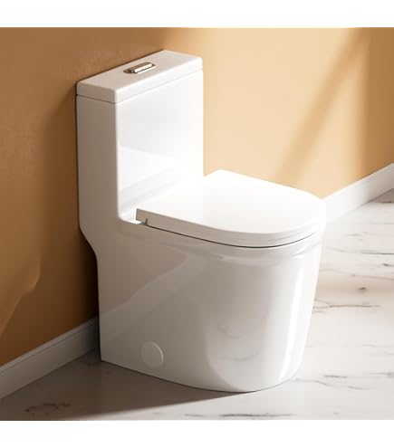 WinZo 23-inch Small Toilet One Piece with Golden Push Button