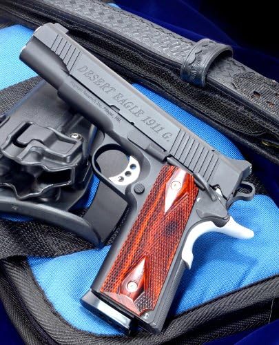 [ WA ] Super Real cancer WA Desert Eagle 1911G