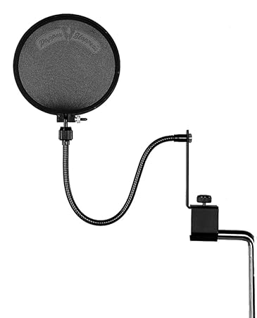 Image result for purpose of a voice popper when recording