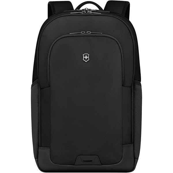Amazon.com: Victorinox Werks Traveler 7.0, Compact Backpack