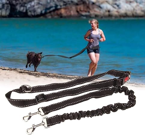 dog leads amazon uk